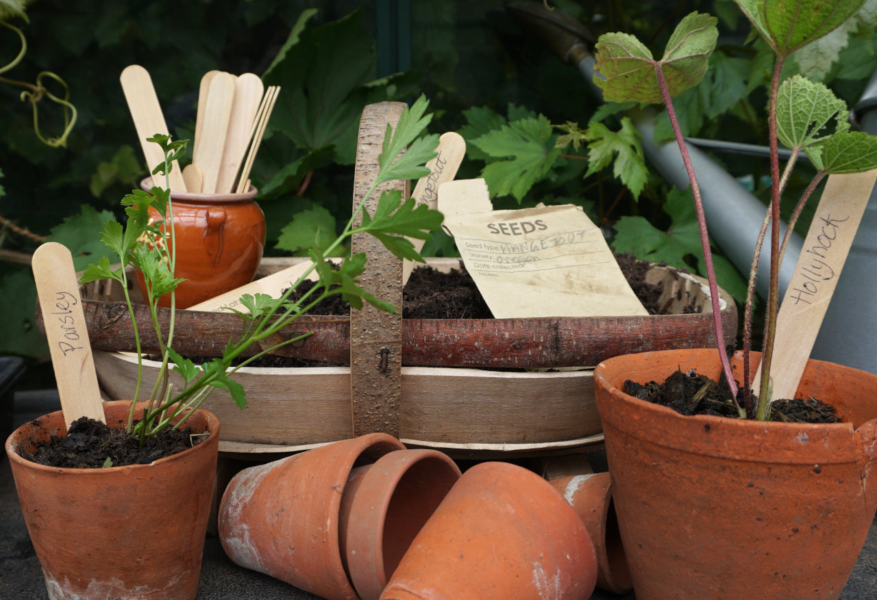 Wooden Seed Labels