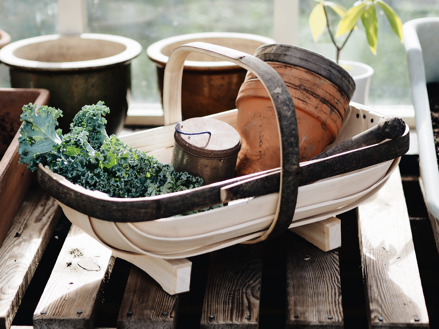 Garden Trug