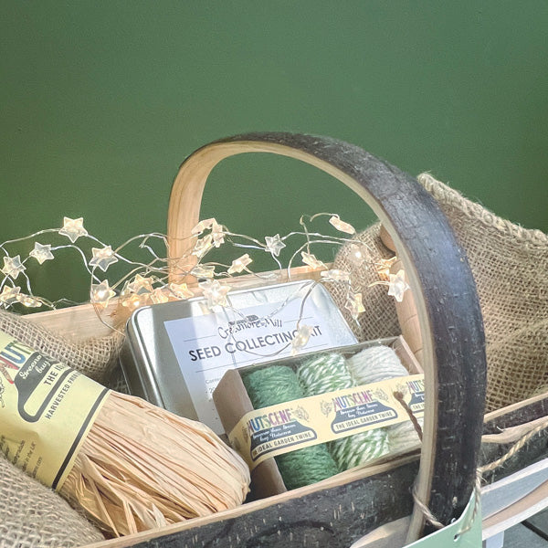 Seed collecting kit with materials in a basket against a green background