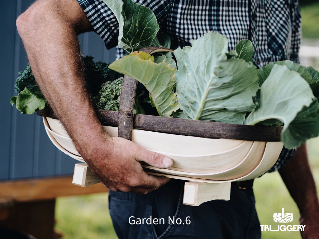 Garden No. 6 Sussex trug holding vegetables in mans arm