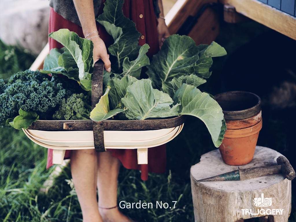 Garden No.7 Sussex Trug with woman holding my a shepherds hut rustic feel