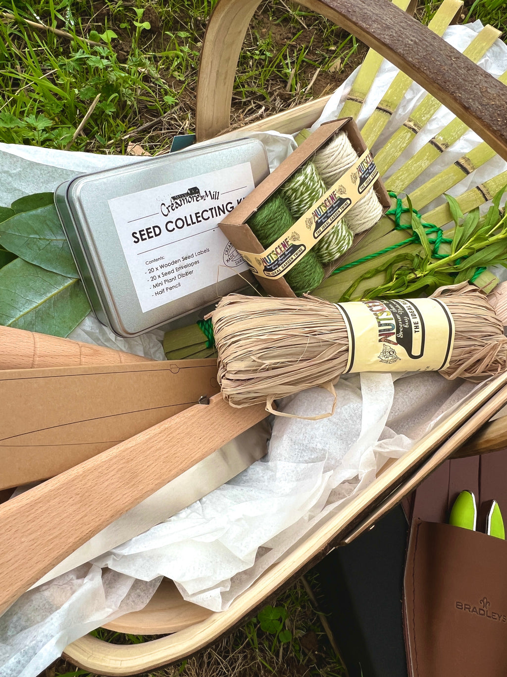 Seed collecting kit with tools and materials on a grassy background