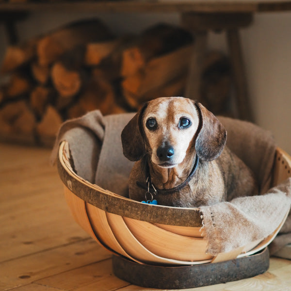 Pet Trug