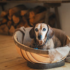 Pet Trug