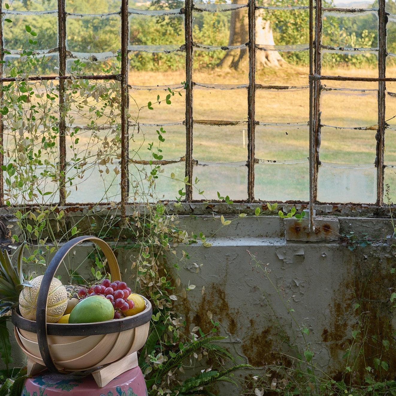 Round Sussex Trug in Greenhouse