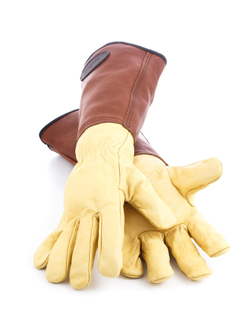 Anti Bramble leather gloves