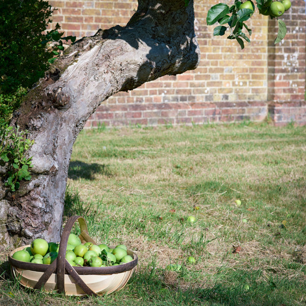 Apple Trug
