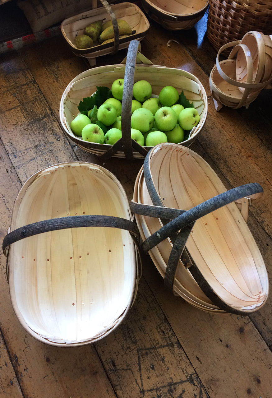 Sussex Apple Trugs, with apples inside. Traditionally hand-crafted in Herstmonceux