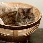 Pet Trug