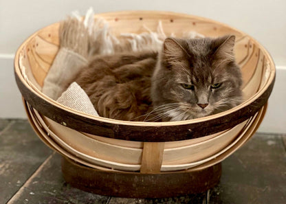 Pet Trug